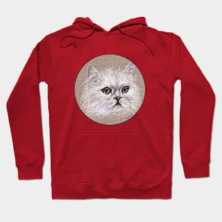 Cat cat Hoodie